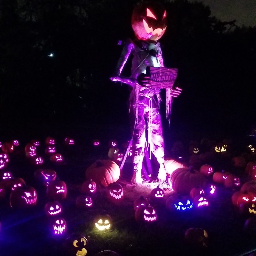 ❤🎃"The Glow: A Jackolantern Experience"🎃❤